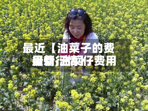 最近【油菜子的费用行情,油菜仔费用最新行情】