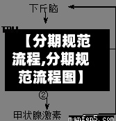 【分期规范流程,分期规范流程图】-第2张图片