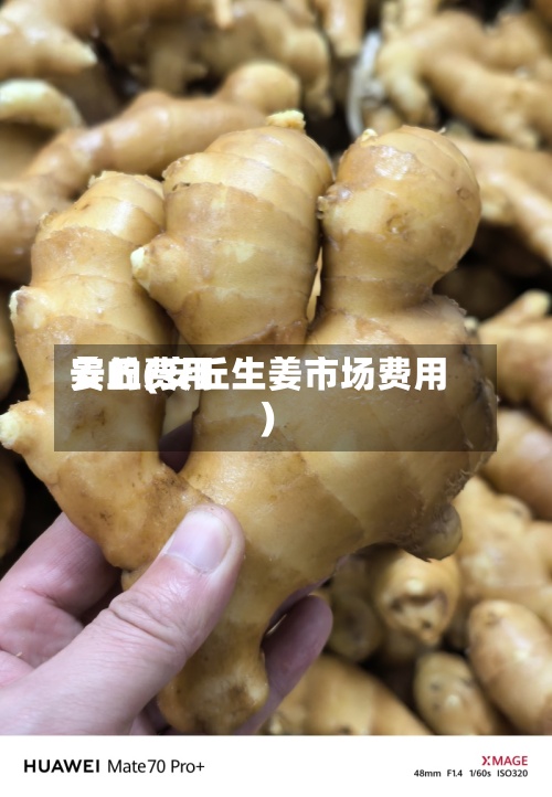 姜的费用安丘(安丘生姜市场费用)-第2张图片