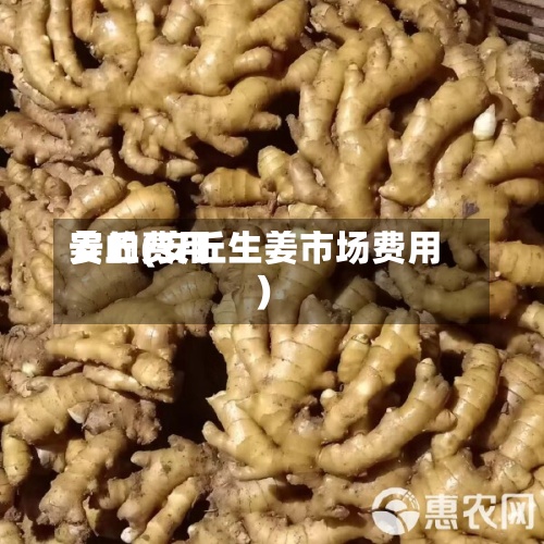 姜的费用安丘(安丘生姜市场费用)-第3张图片