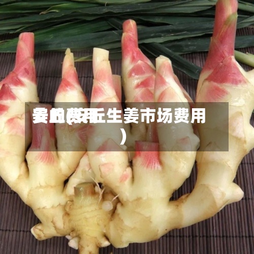 姜的费用安丘(安丘生姜市场费用)