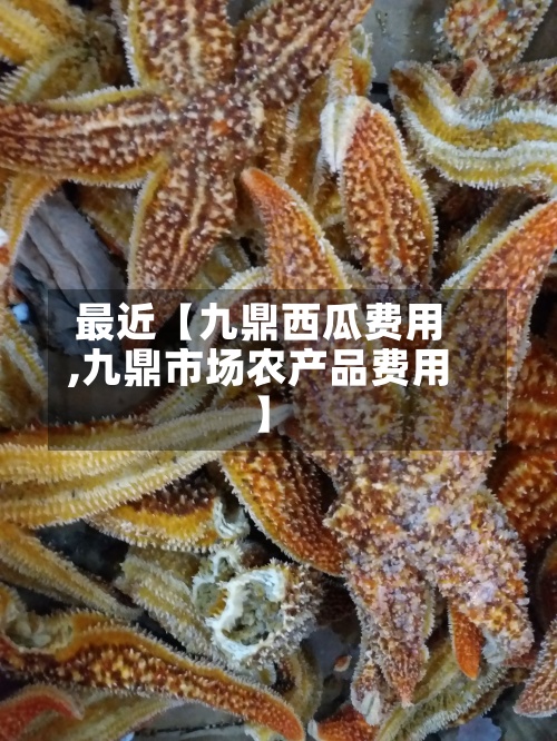 最近【九鼎西瓜费用,九鼎市场农产品费用】