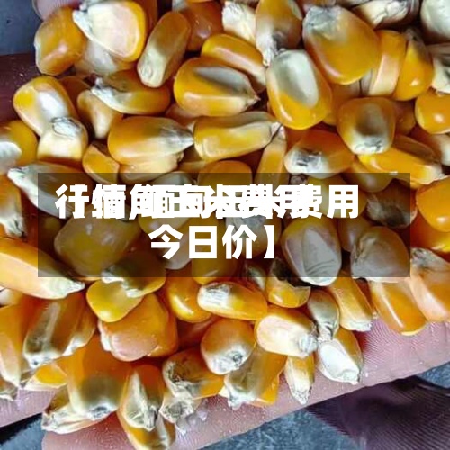 【缅甸玉米费用行情,缅甸玉米费用 今日价】
