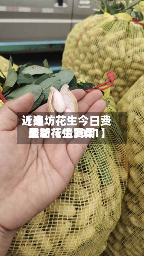 近来【潍坊花生今日费用潍坊花生费用最新行情2021】