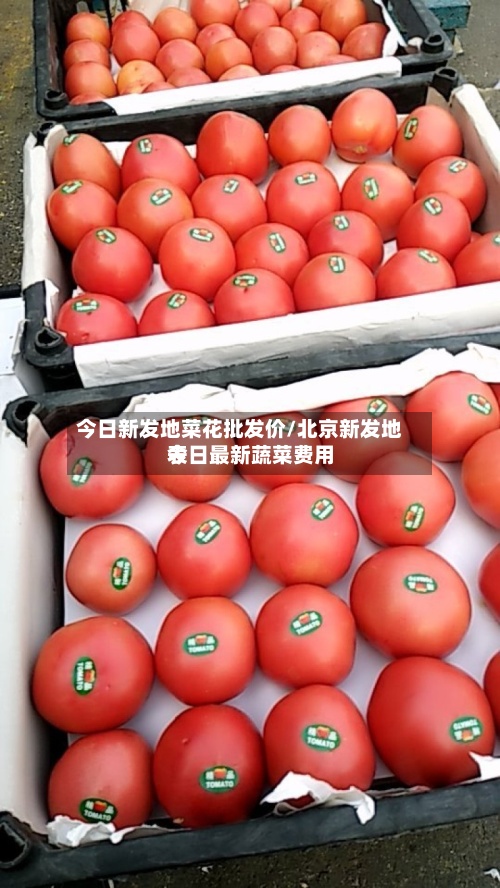 今日新发地菜花批发价/北京新发地今日最新蔬菜费用
表-第2张图片