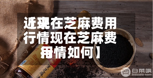 近来【现在芝麻费用行情现在芝麻费用行情如何】-第2张图片
