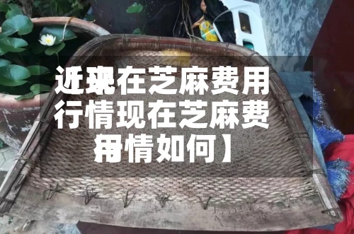 近来【现在芝麻费用行情现在芝麻费用行情如何】-第3张图片
