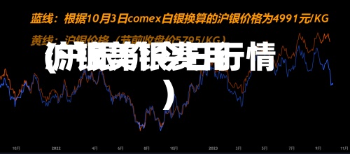 沪银美银费用(沪银价今日行情)-第2张图片