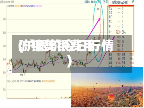 沪银美银费用(沪银价今日行情)