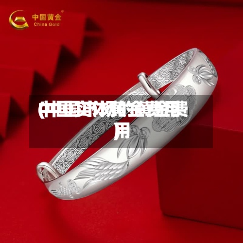 中国实体黄金费用(中国市场的黄金费用)-第2张图片