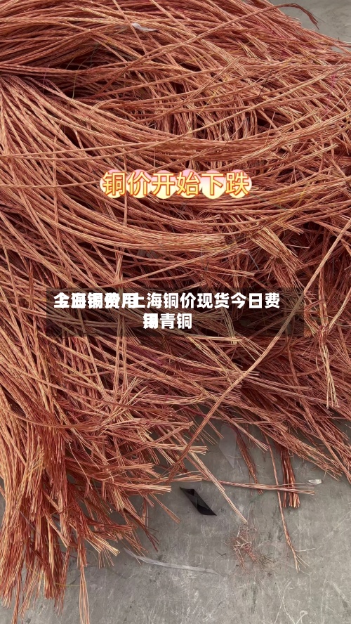 上海铜费用今日锡价/上海铜价现货今日费用锡青铜