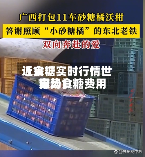 近来
【食糖实时行情世界
市场食糖费用
走势】-第2张图片