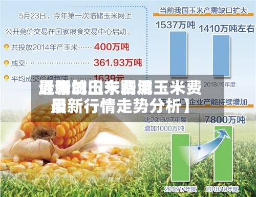 近来【聊城玉米费用最新的山东聊城玉米费用最新行情走势分析】