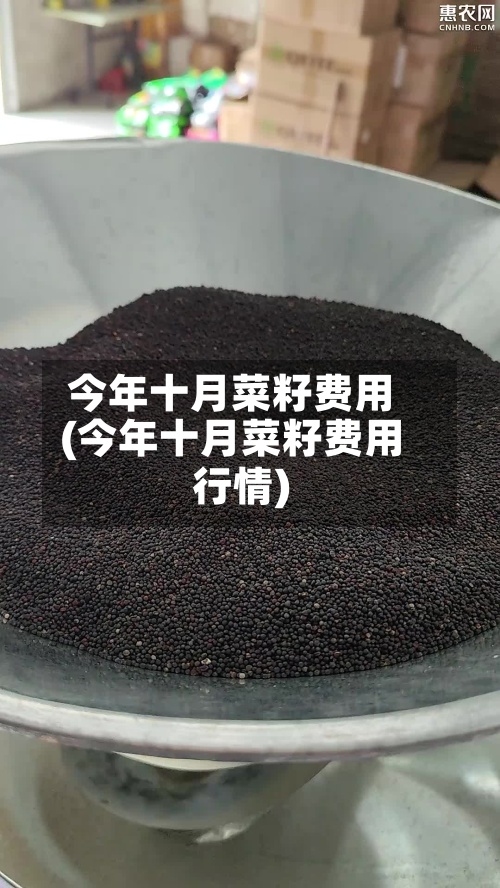 今年十月菜籽费用(今年十月菜籽费用行情)-第2张图片