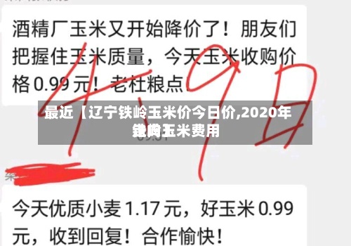 最近【辽宁铁岭玉米价今日价,2020年铁岭玉米费用走向】