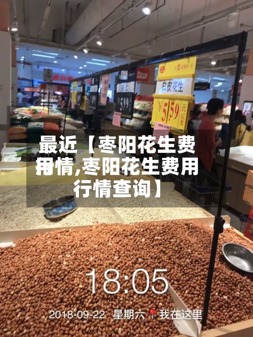 最近【枣阳花生费用行情,枣阳花生费用行情查询】