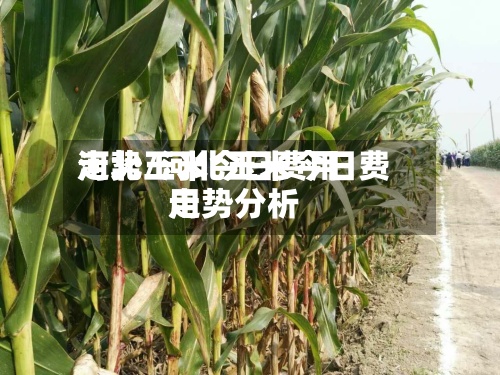 河北玉米今日费用走势/河北玉米今日费用走势分析-第3张图片