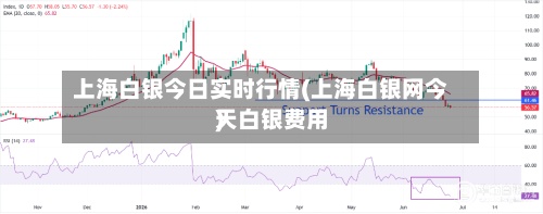 上海白银今日实时行情(上海白银网今天白银费用)-第3张图片