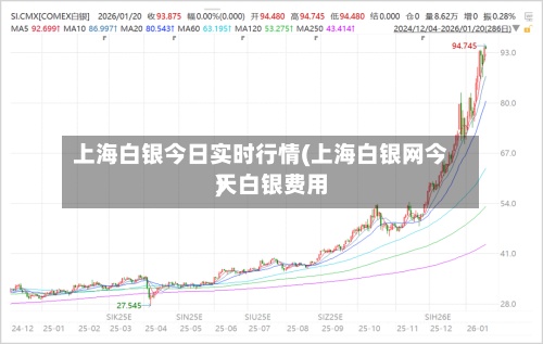 上海白银今日实时行情(上海白银网今天白银费用)-第2张图片