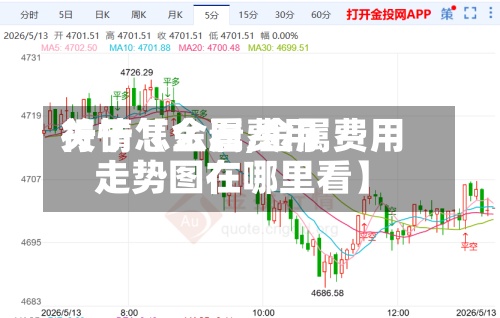关于【金属费用行情怎么看,金属费用走势图在哪里看】-第3张图片
