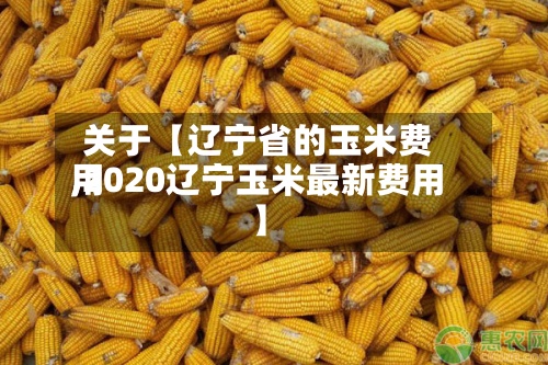 关于【辽宁省的玉米费用,2020辽宁玉米最新费用】