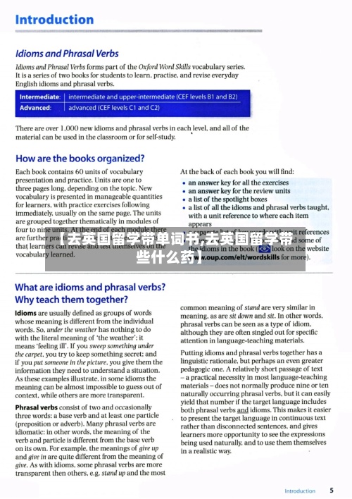 【去英国留学带单词书,去英国留学带些什么药】