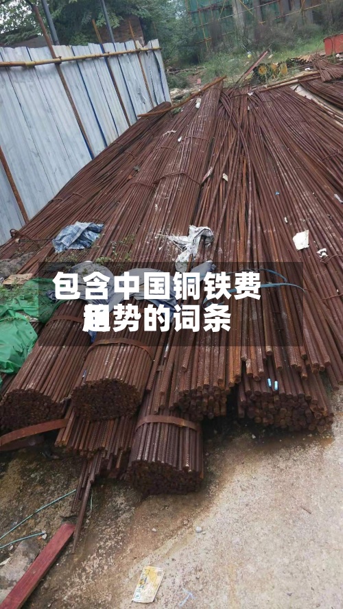 包含中国铜铁费用趋势的词条