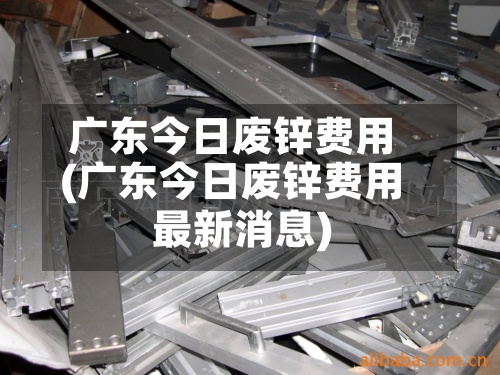 广东今日废锌费用(广东今日废锌费用最新消息)-第3张图片