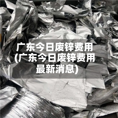 广东今日废锌费用(广东今日废锌费用最新消息)-第2张图片