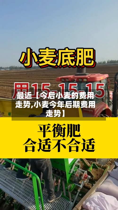 最近【今后小麦的费用
走势,小麦今年后期费用
走势】-第2张图片