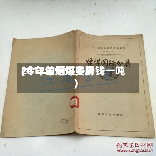 2017年烟煤费用(今年的烟煤多少钱一吨)-第2张图片