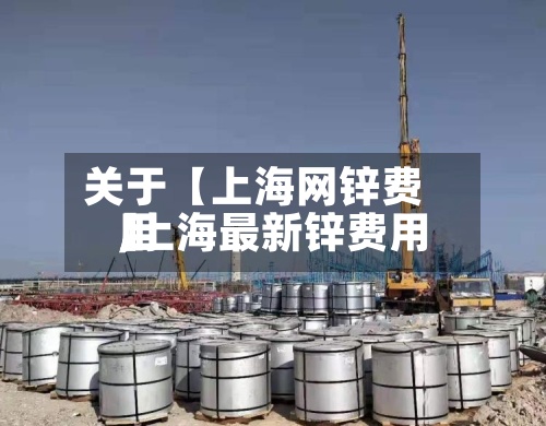 关于【上海网锌费用,上海最新锌费用】