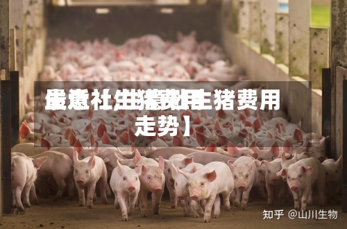 最近【生猪费用生意社,生意社生猪费用走势】-第3张图片
