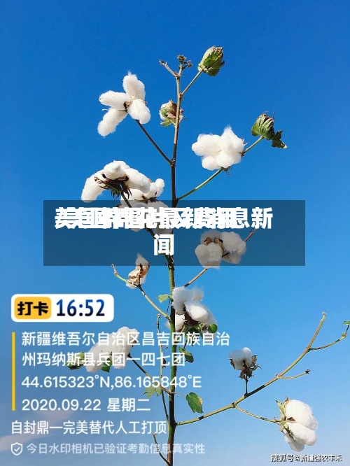 美国棉图片及费用/美国棉花最新消息新闻