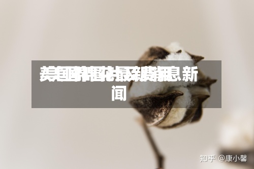 美国棉图片及费用
/美国棉花最新消息新闻-第3张图片