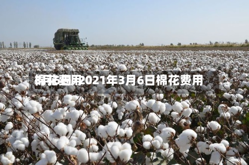 棉花费用3月6日/2021年3月6日棉花费用