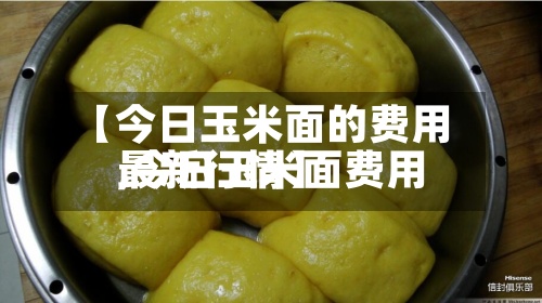 【今日玉米面的费用,今日玉米面费用最新行情】-第3张图片