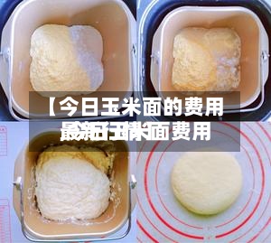 【今日玉米面的费用,今日玉米面费用最新行情】-第2张图片