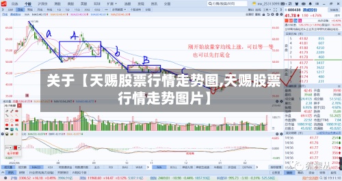 关于【天赐股票行情走势图,天赐股票行情走势图片】-第2张图片