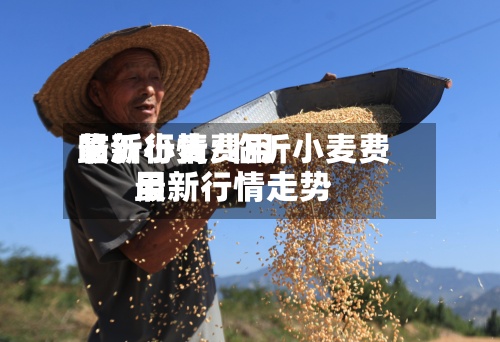 临沂小麦费用最新行情/临沂小麦费用最新行情走势