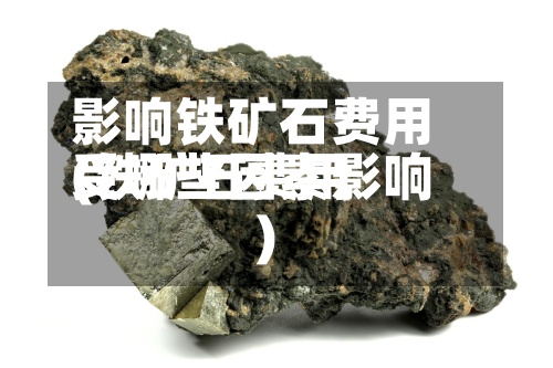 影响铁矿石费用(铁矿石费用受哪些因素影响)