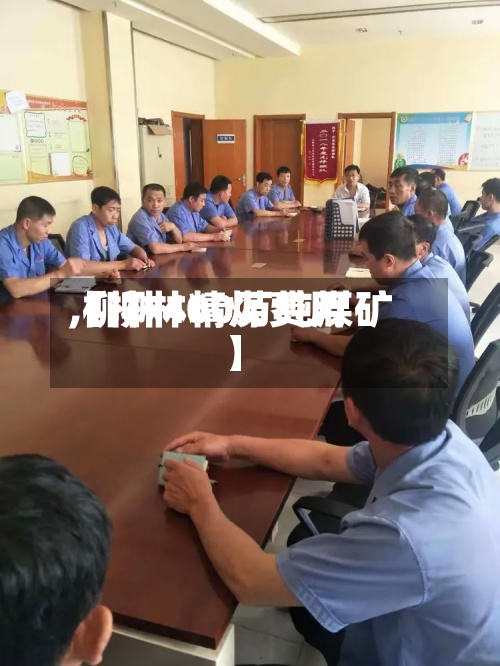 【柳林精煤费用,柳林400万吨煤矿】-第3张图片