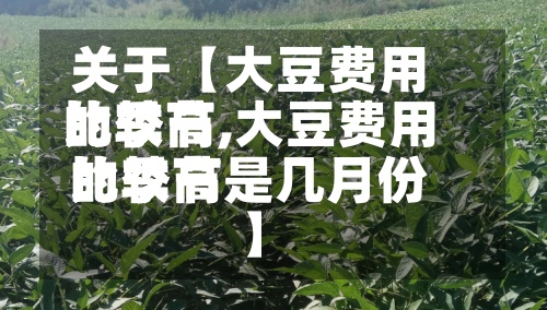 关于【大豆费用比较高的季节,大豆费用比较高的季节是几月份】