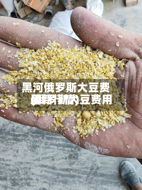 黑河俄罗斯大豆费用(俄罗斯大豆费用最新行情)-第3张图片