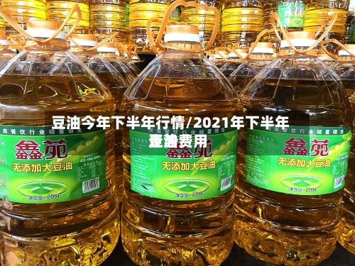 豆油今年下半年行情/2021年下半年豆油费用走势-第2张图片
