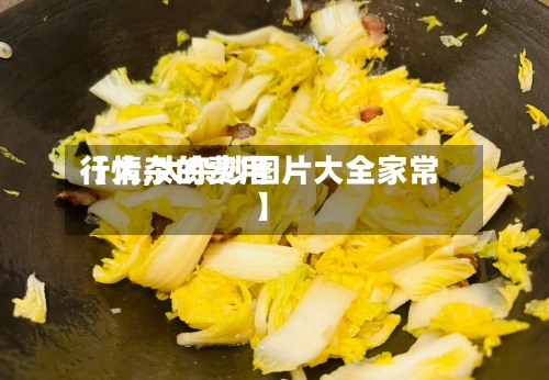 【大杂的费用行情,大杂炒图片大全家常】-第3张图片