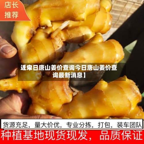近来【今日唐山姜价查询今日唐山姜价查询最新消息】