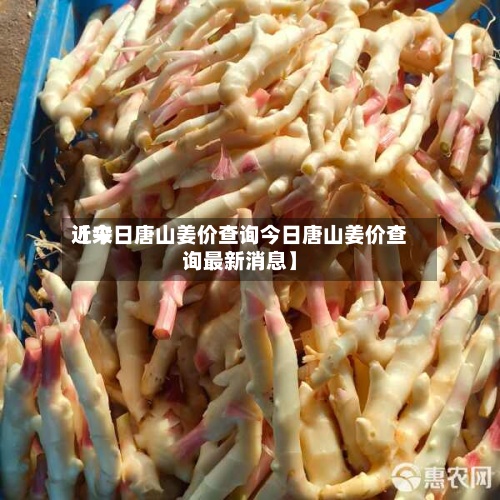 近来【今日唐山姜价查询今日唐山姜价查询最新消息】-第2张图片