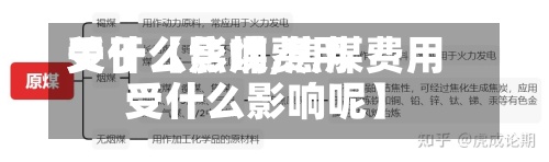 关于【焦煤费用受什么影响,焦煤费用受什么影响呢】-第2张图片