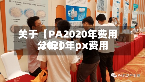 关于【PA2020年费用,2020年px费用分析】-第2张图片